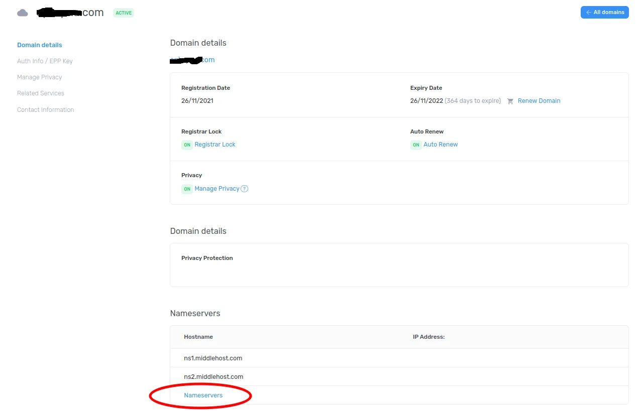 Domain Information.png