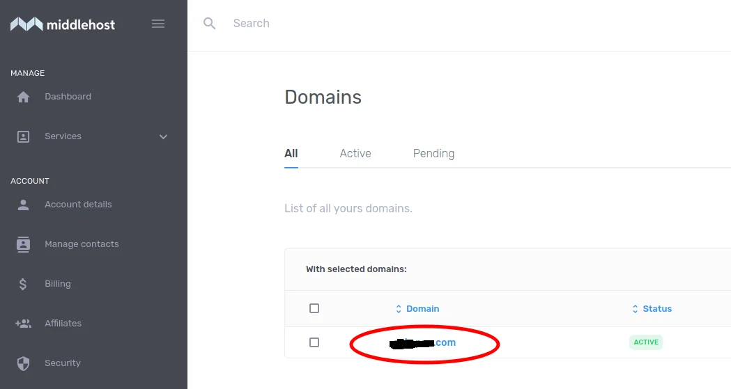 Select Your domain.png