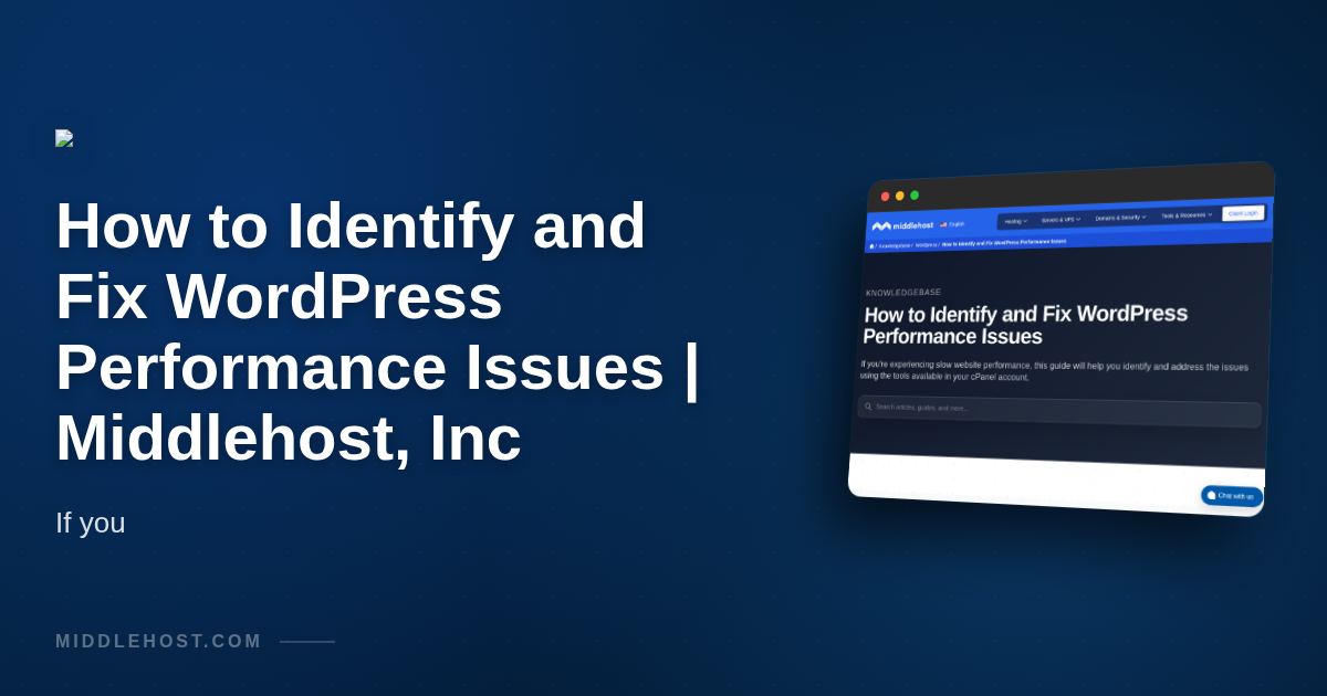 How to Identify and Fix WordPress Performance Issues | Middlehost, Inc